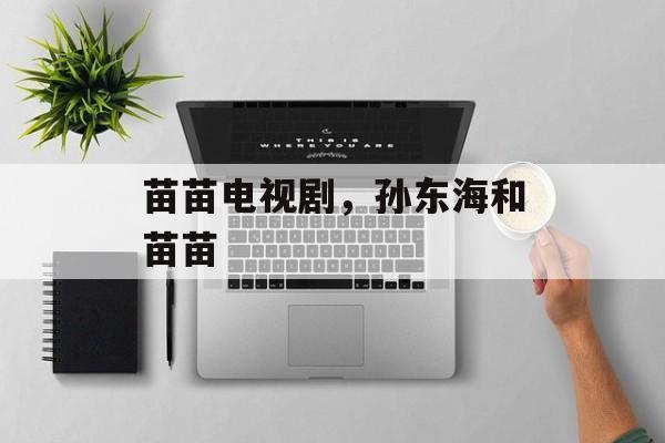 苗苗电视剧，孙东海和苗苗-第1张图片-