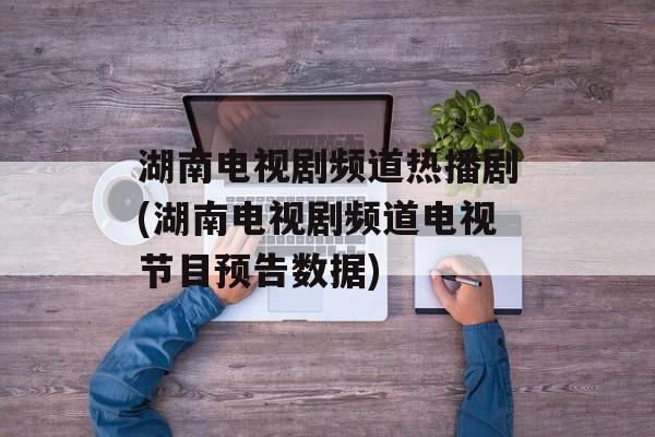 湖南电视剧频道热播剧(湖南电视剧频道电视节目预告数据)-第1张图片-