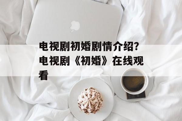 电视剧初婚剧情介绍？电视剧《初婚》在线观看-第1张图片-