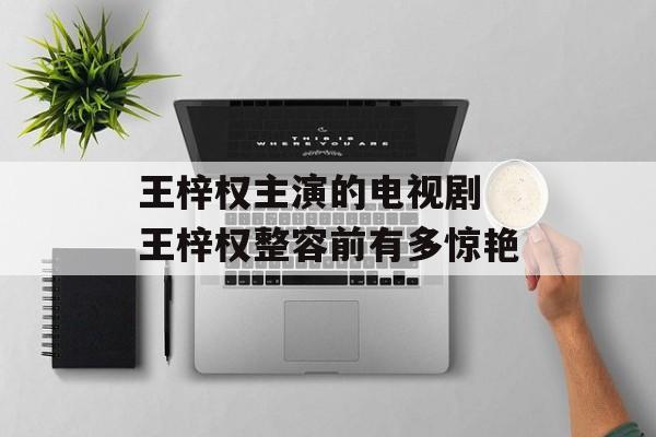 王梓权主演的电视剧 王梓权整容前有多惊艳-第1张图片-