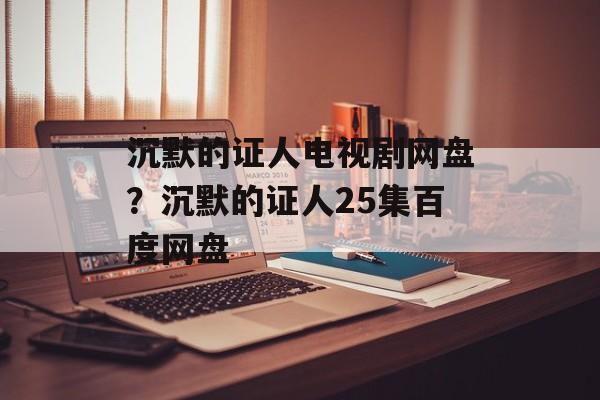 沉默的证人电视剧网盘？沉默的证人25集百度网盘-第1张图片-