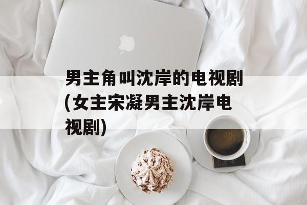 男主角叫沈岸的电视剧(女主宋凝男主沈岸电视剧)-第1张图片-