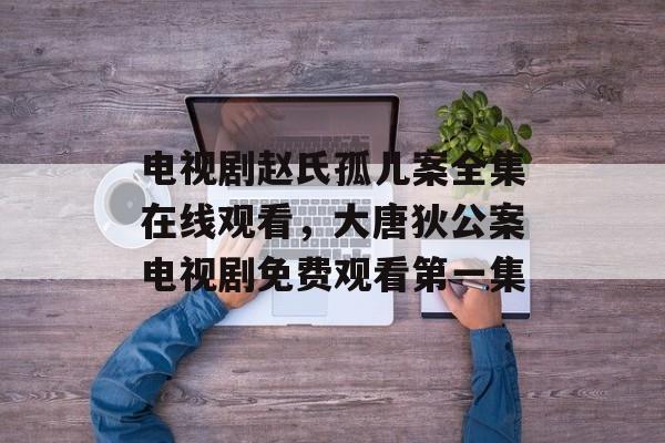 电视剧赵氏孤儿案全集在线观看，大唐狄公案电视剧免费观看第一集-第1张图片-