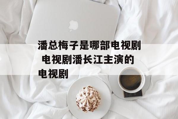 潘总梅子是哪部电视剧 电视剧潘长江主演的电视剧-第1张图片-