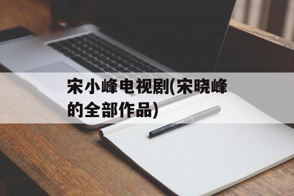 宋小峰电视剧(宋晓峰的全部作品)-第1张图片-
