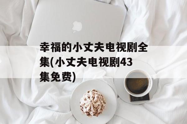 幸福的小丈夫电视剧全集(小丈夫电视剧43集免费)-第1张图片-