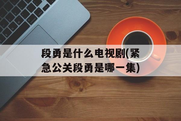 段勇是什么电视剧(紧急公关段勇是哪一集)-第1张图片-