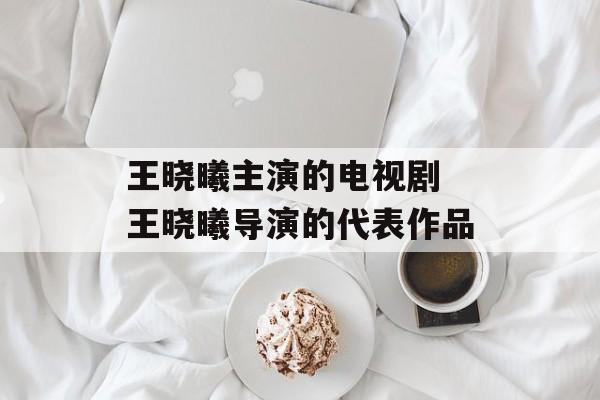 王晓曦主演的电视剧 王晓曦导演的代表作品-第1张图片-