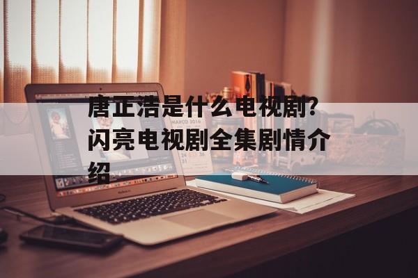 唐正浩是什么电视剧？闪亮电视剧全集剧情介绍-第1张图片-