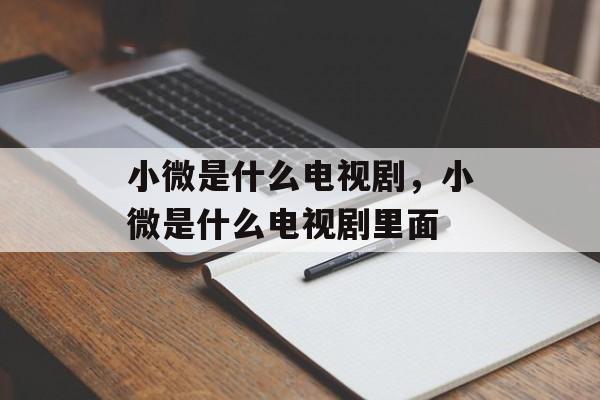 小微是什么电视剧，小微是什么电视剧里面-第1张图片-