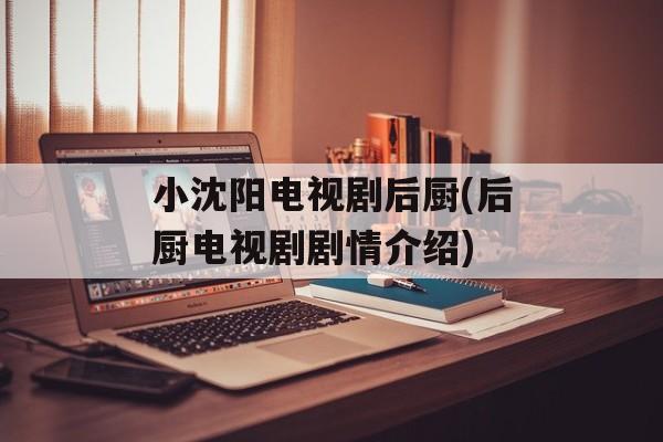 小沈阳电视剧后厨(后厨电视剧剧情介绍)-第1张图片-