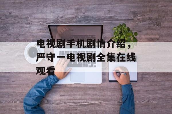 电视剧手机剧情介绍，严守一电视剧全集在线观看-第1张图片-
