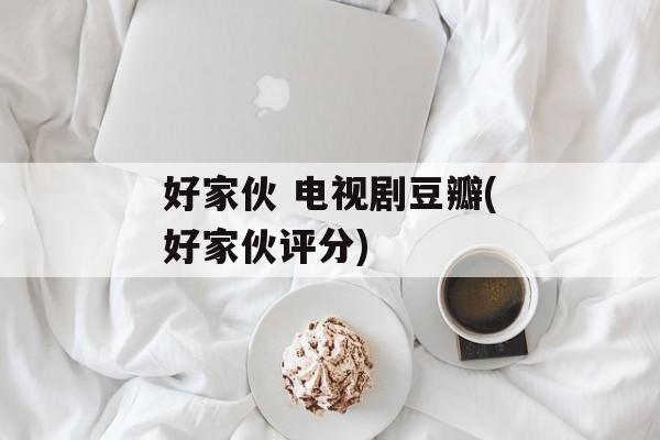 好家伙 电视剧豆瓣(好家伙评分)-第1张图片-