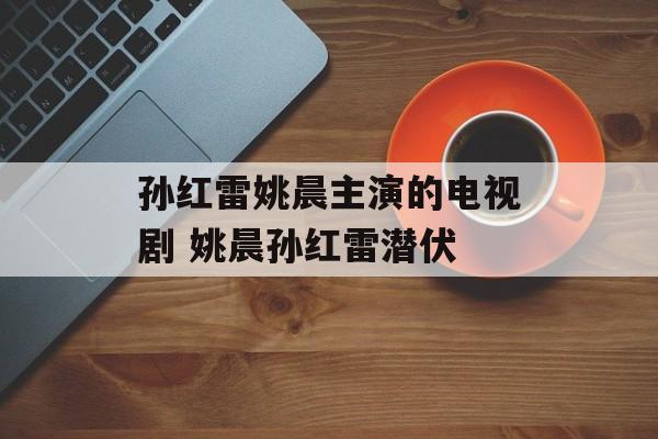 孙红雷姚晨主演的电视剧 姚晨孙红雷潜伏-第1张图片-