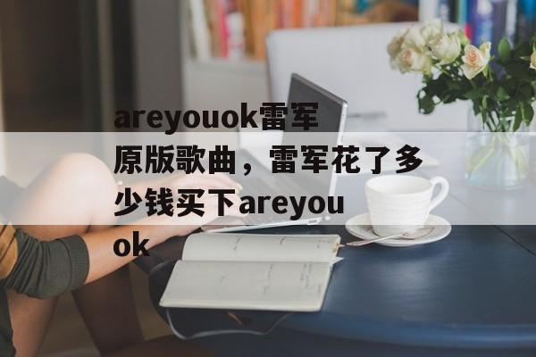 areyouok雷军原版歌曲，雷军花了多少钱买下areyouok-第1张图片-