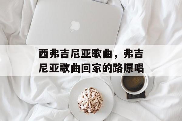 西弗吉尼亚歌曲，弗吉尼亚歌曲回家的路原唱-第1张图片-