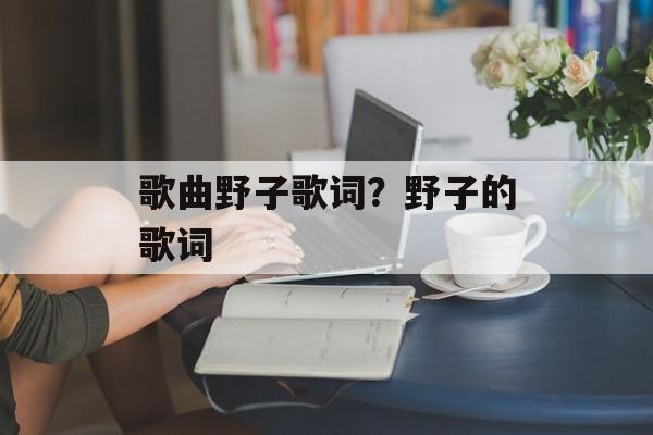 歌曲野子歌词？野子的歌词-第1张图片-