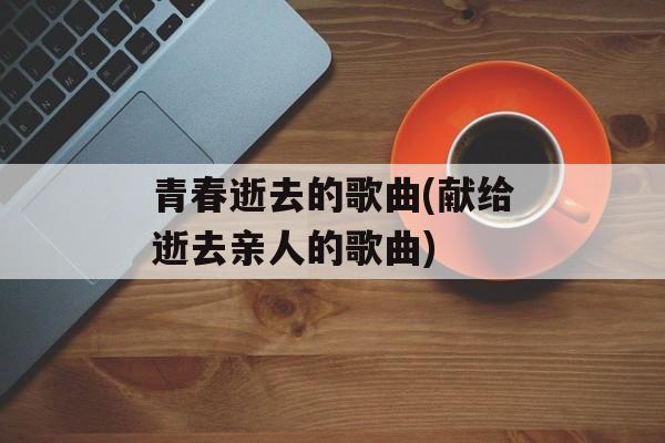 青春逝去的歌曲(献给逝去亲人的歌曲)-第1张图片-