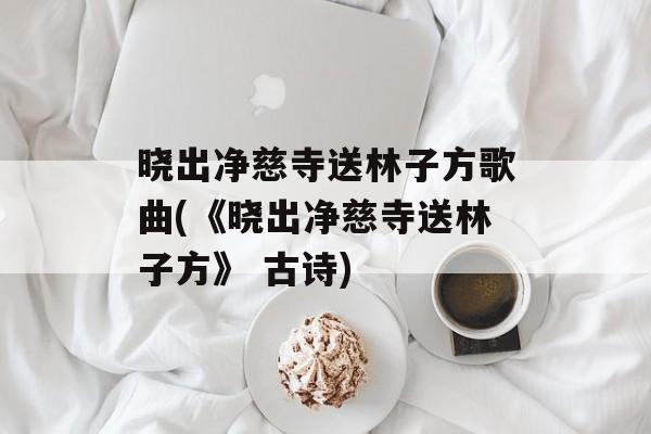 晓出净慈寺送林子方歌曲(《晓出净慈寺送林子方》 古诗)-第1张图片-