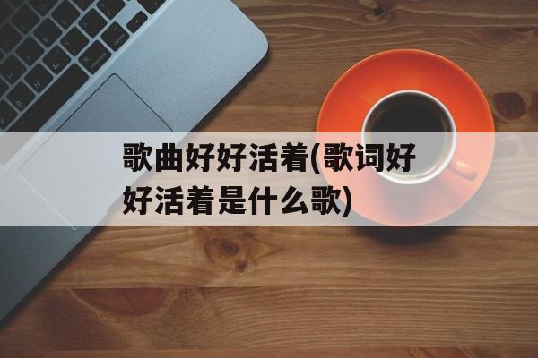 歌曲好好活着(歌词好好活着是什么歌)-第1张图片-