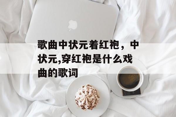 歌曲中状元着红袍，中状元,穿红袍是什么戏曲的歌词-第1张图片-