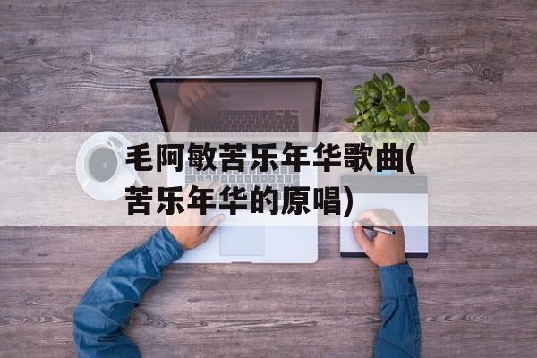毛阿敏苦乐年华歌曲(苦乐年华的原唱)-第1张图片-