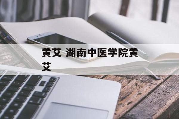 黄艾 湖南中医学院黄艾-第1张图片-