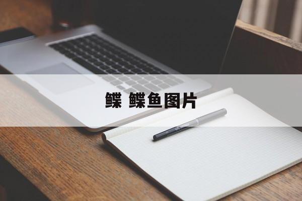 鲽 鲽鱼图片-第1张图片-