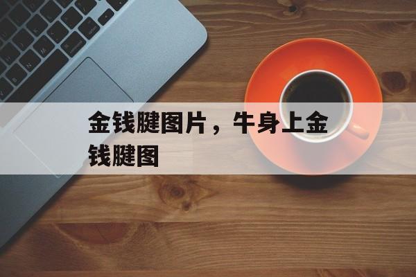 金钱腱图片，牛身上金钱腱图-第1张图片-