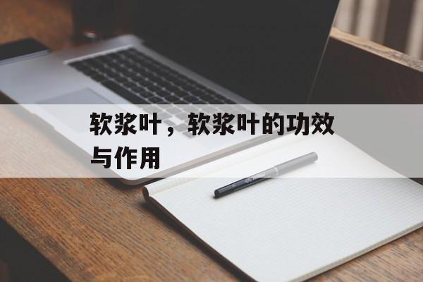 软浆叶，软浆叶的功效与作用-第1张图片-