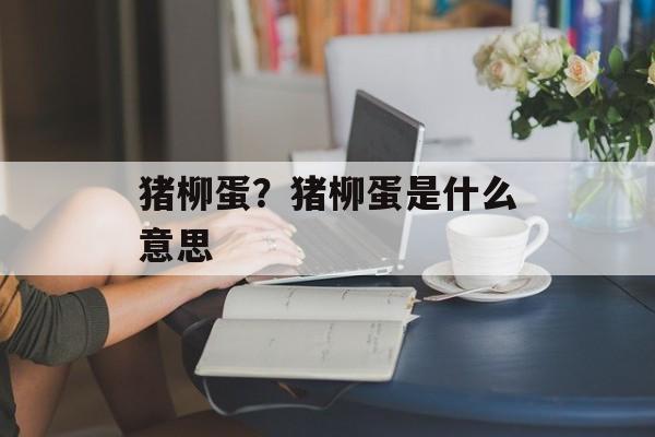 猪柳蛋？猪柳蛋是什么意思-第1张图片-
