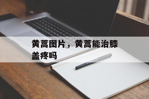 黄蒿图片，黄蒿能治膝盖疼吗-第1张图片-