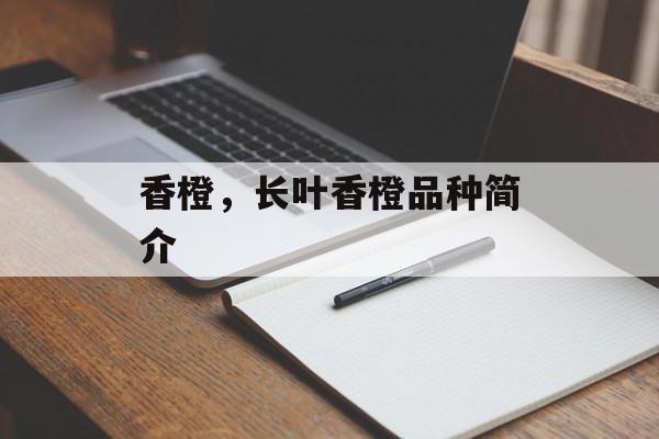香橙，长叶香橙品种简介-第1张图片-