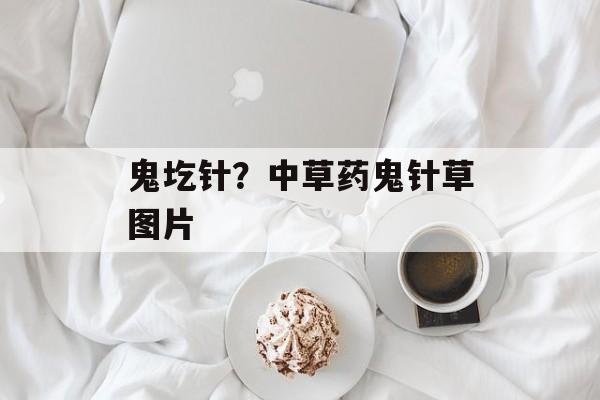 鬼圪针？中草药鬼针草图片-第1张图片-