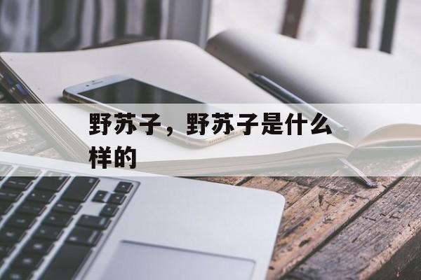 野苏子，野苏子是什么样的-第1张图片-