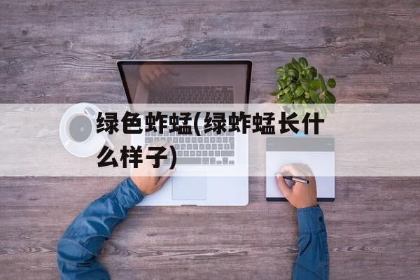 绿色蚱蜢(绿蚱蜢长什么样子)-第1张图片-