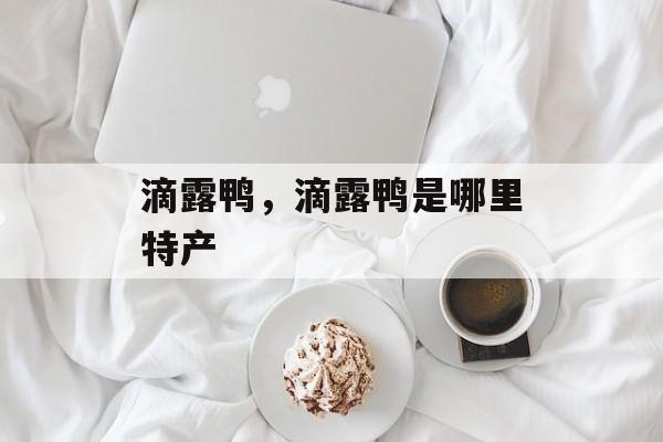 滴露鸭，滴露鸭是哪里特产-第1张图片-