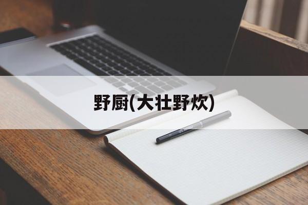 野厨(大壮野炊)-第1张图片-