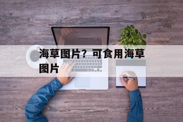 海草图片？可食用海草图片-第1张图片-