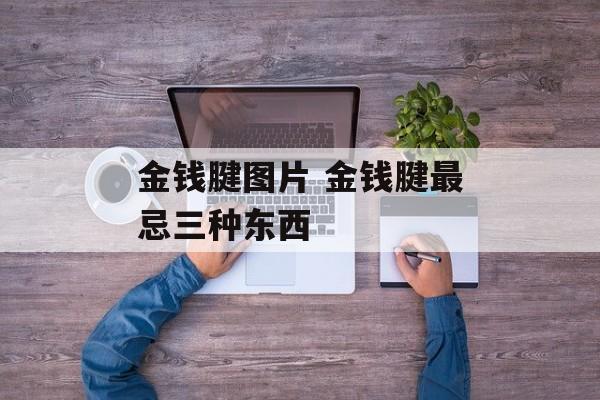 金钱腱图片 金钱腱最忌三种东西-第1张图片-