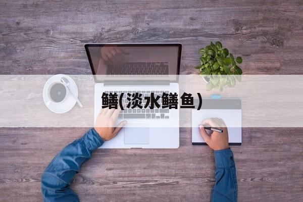 鳝(淡水鳝鱼)-第1张图片-
