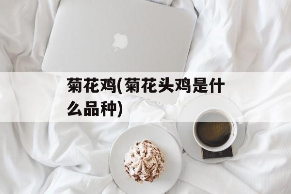 菊花鸡(菊花头鸡是什么品种)-第1张图片-