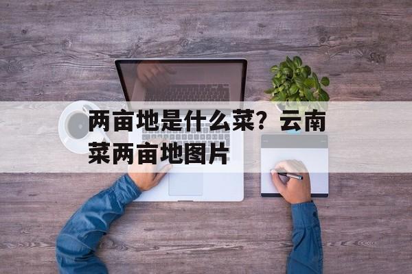 两亩地是什么菜？云南菜两亩地图片-第1张图片-
