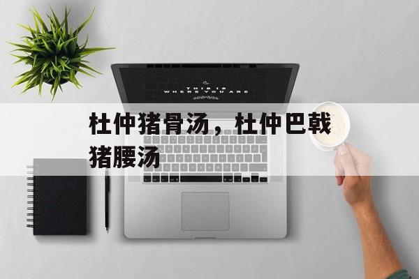 杜仲猪骨汤，杜仲巴戟猪腰汤-第1张图片-