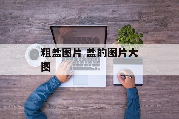 粗盐图片 盐的图片大图-第1张图片-