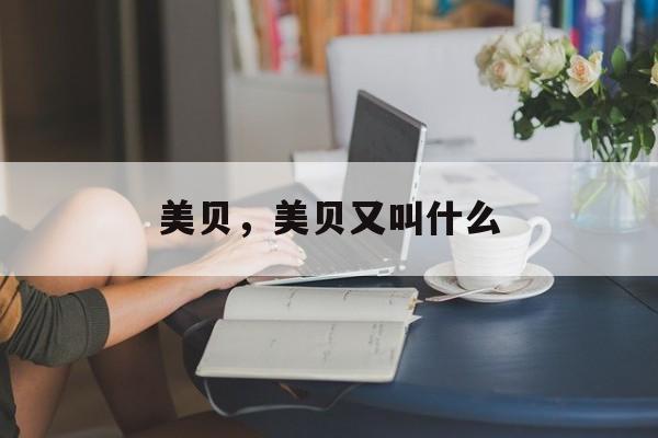 美贝，美贝又叫什么-第1张图片-