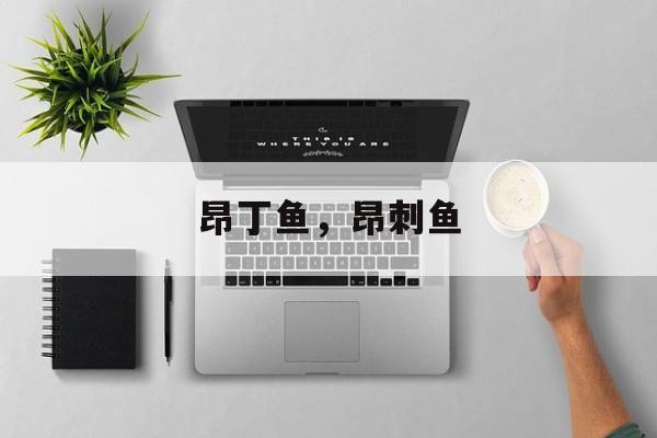 昂丁鱼，昂刺鱼-第1张图片-