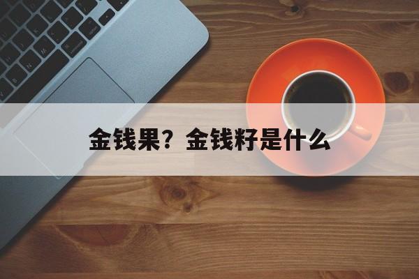 金钱果？金钱籽是什么-第1张图片-