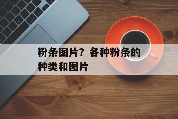 粉条图片？各种粉条的种类和图片-第1张图片-