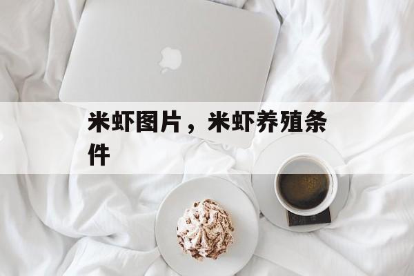 米虾图片，米虾养殖条件-第1张图片-